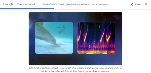 DolphinGemma